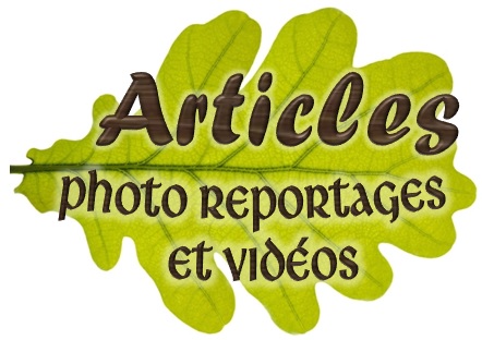 Articles et photo reportages
